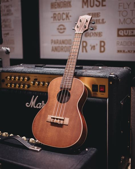 ukulele price singapore|Ukuleles – Swee Lee Singapore.
